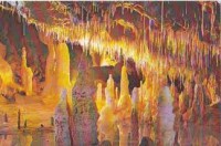 /album/galerie-foto/images-jpg1/